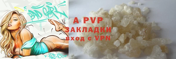 тгк Дмитриев