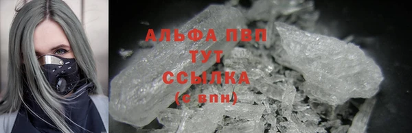 тгк Дмитриев
