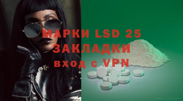 тгк Дмитриев