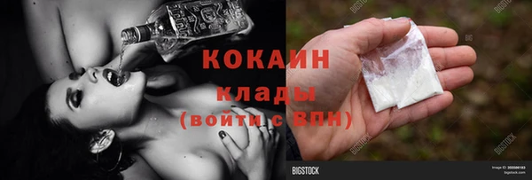 тгк Дмитриев