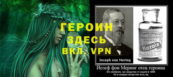 тгк Дмитриев