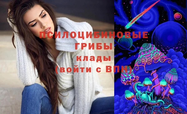 тгк Дмитриев
